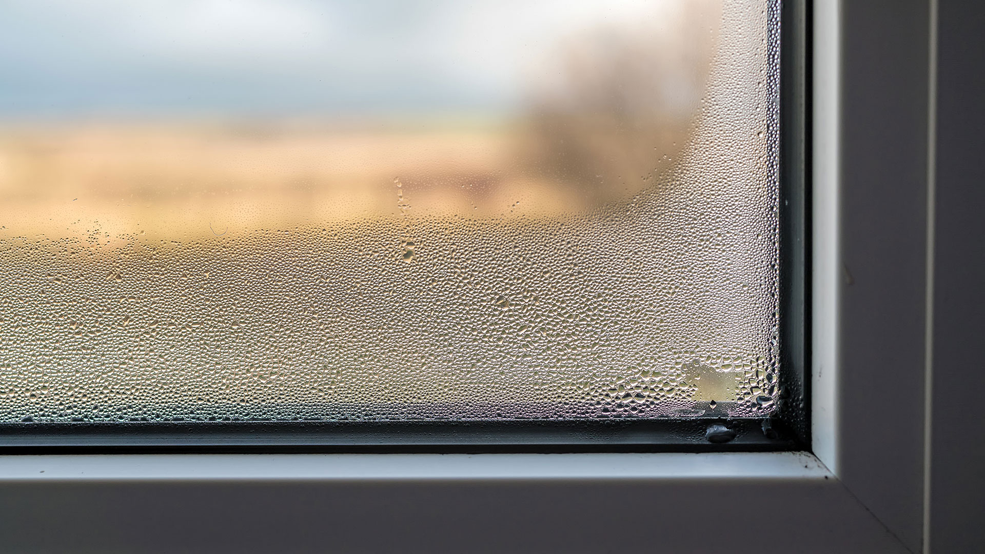 Kondenswasser an Fenstern – Schimmel und Parkettschäden vermeiden